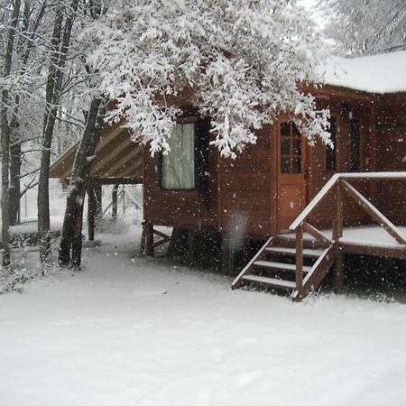 Cabanas Roble Quemado Las Trancas Exteriör bild