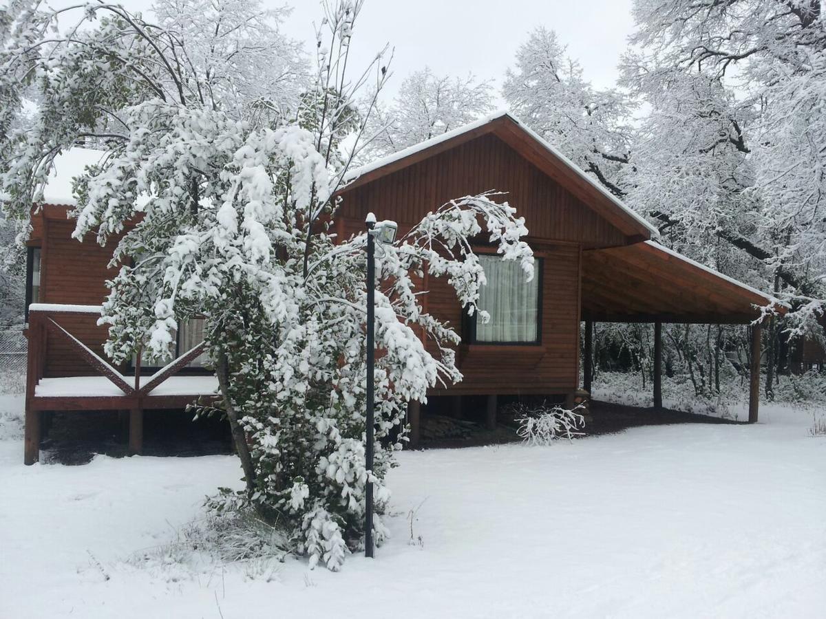 Cabanas Roble Quemado Las Trancas Exteriör bild