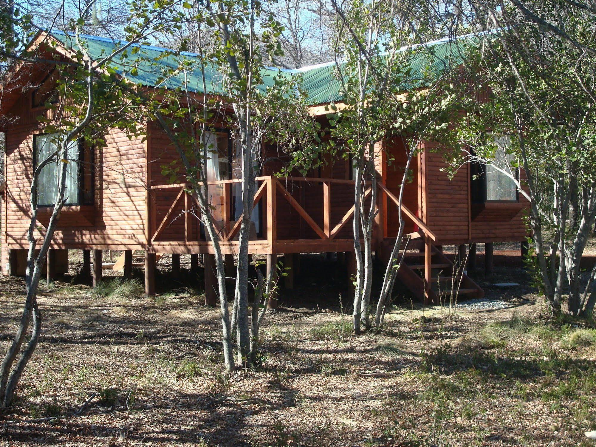 Cabanas Roble Quemado Las Trancas Exteriör bild